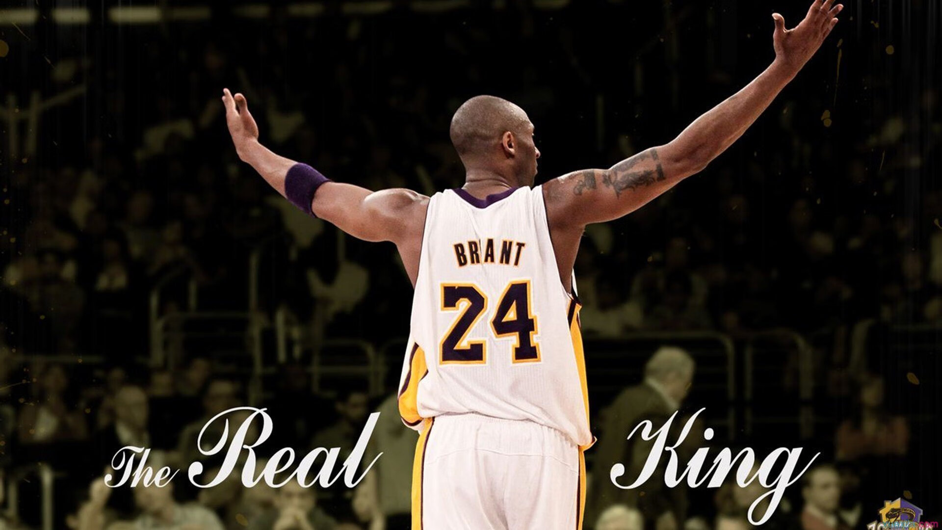 篮球赛季精彩赛事回顾